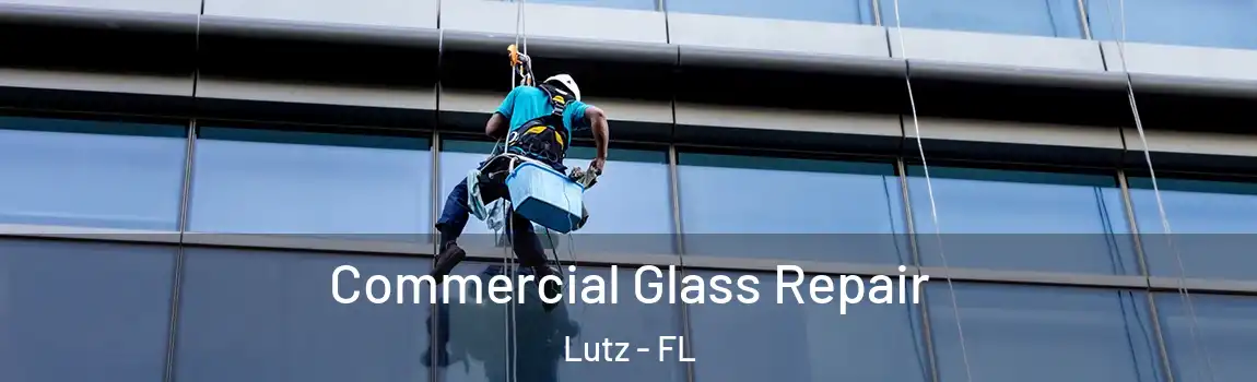  Commercial Glass Repair Lutz - FL