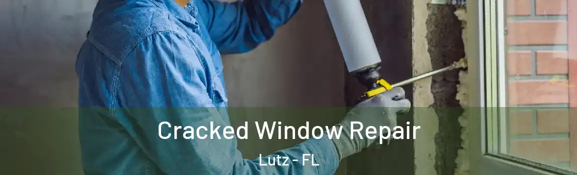  Cracked Window Repair Lutz - FL
