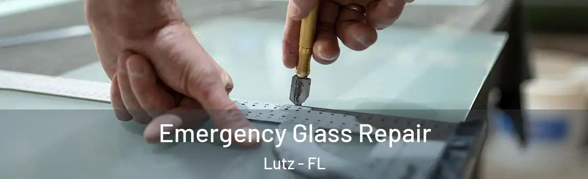  Emergency Glass Repair Lutz - FL