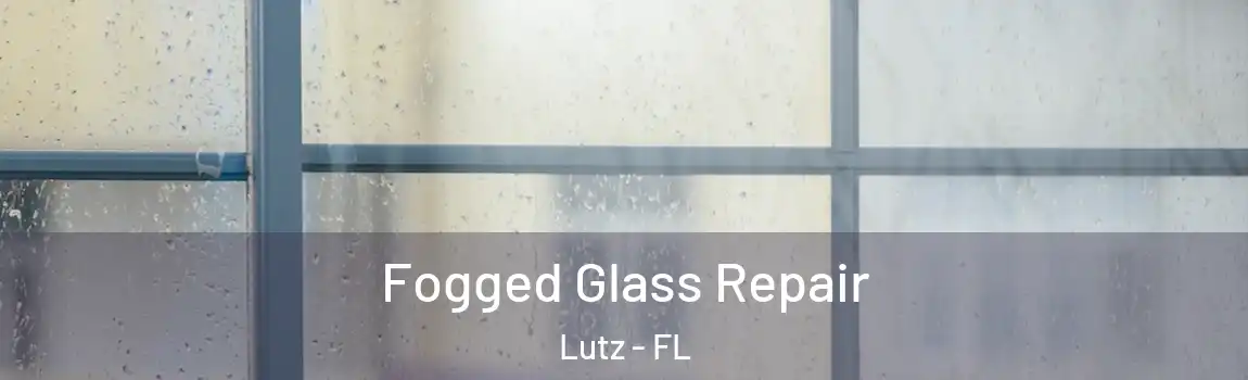  Fogged Glass Repair Lutz - FL