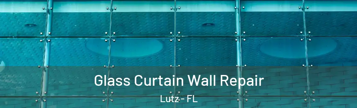  Glass Curtain Wall Repair Lutz - FL