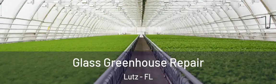  Glass Greenhouse Repair Lutz - FL