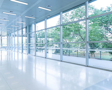 emergency glass repair in Lutz, FL