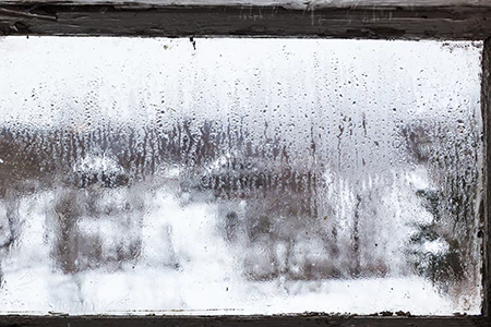 Defogging Double Pane Windows in Lutz, FL