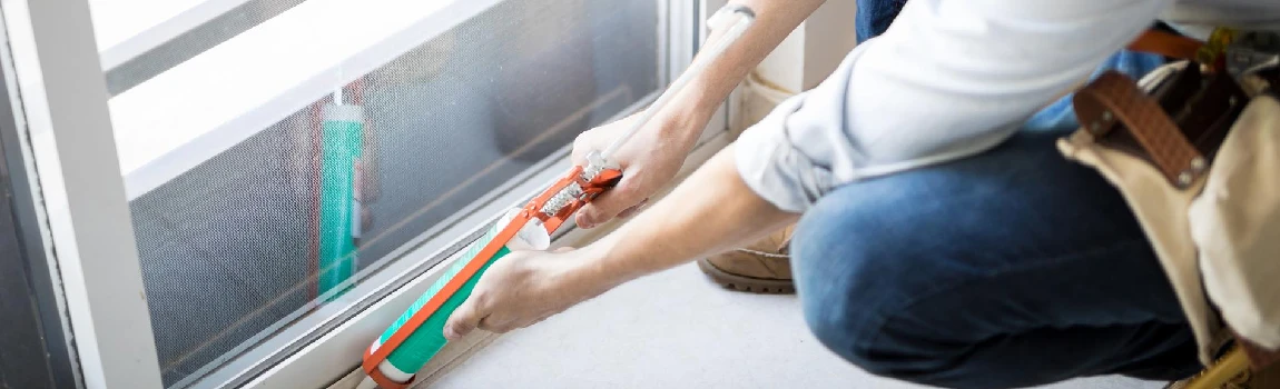Emergency Window Replacement Services in Lutz, FL