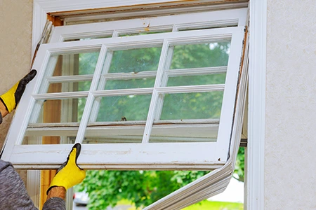 Window Replacement in Lutz, FL