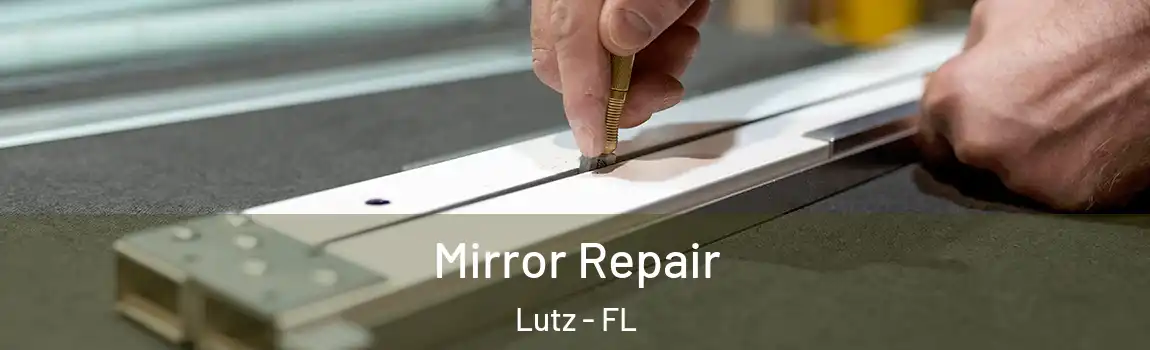  Mirror Repair Lutz - FL