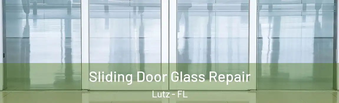  Sliding Door Glass Repair Lutz - FL