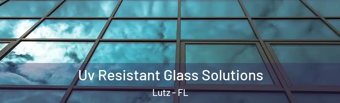  Uv Resistant Glass Solutions Lutz - FL