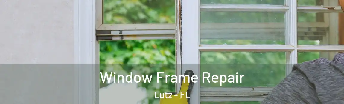  Window Frame Repair Lutz - FL