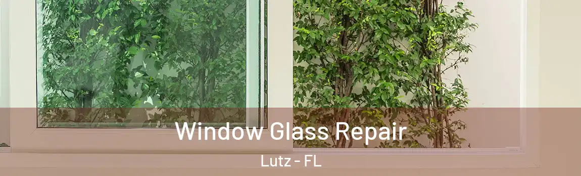  Window Glass Repair Lutz - FL