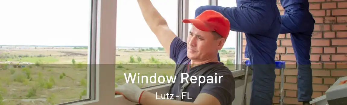  Window Repair Lutz - FL