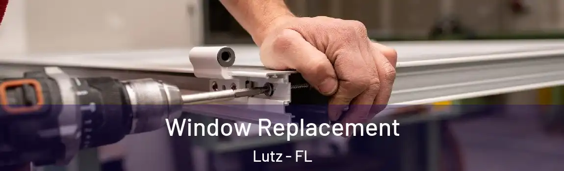  Window Replacement Lutz - FL