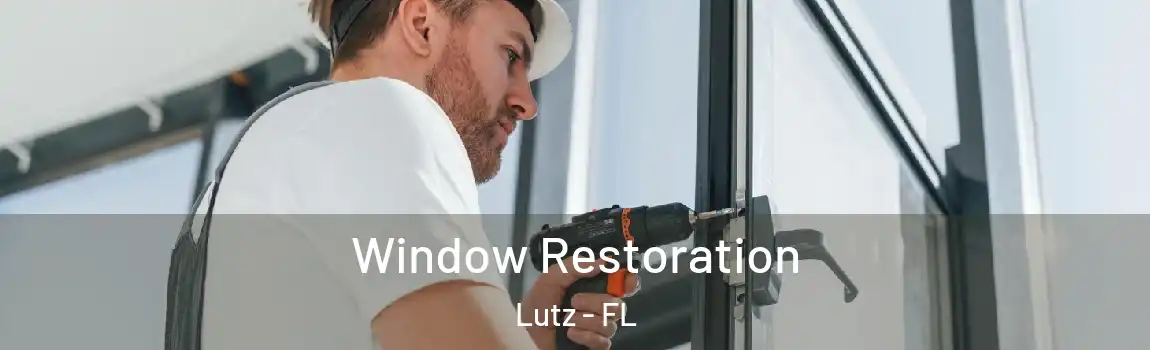  Window Restoration Lutz - FL
