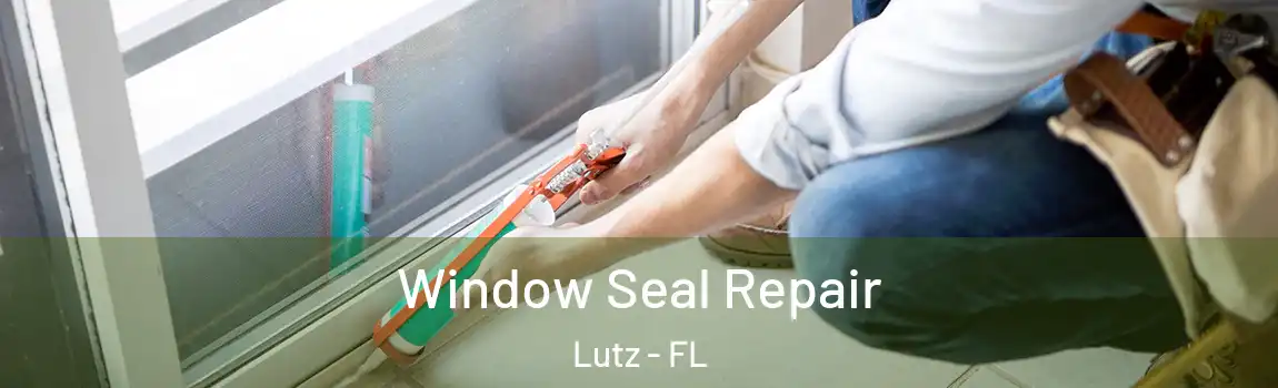 Window Seal Repair Lutz - FL